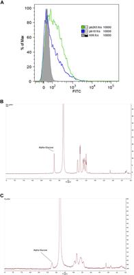 New Role of P. brasiliensis α-Glucan: Differentiation of Non-conventional Dendritic Cells